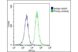 Overlay histogram showing Hela cells stained with ABIN652999(green line).