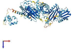 AlphaFold protein structure predicition of Human Recombinant AVIL Protein, UniprotID O75366