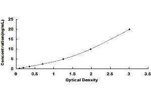 Typical standard curve