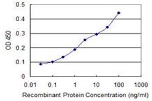Detection limit for recombinant GST tagged RNF157 is 0. (RNF157 anticorps  (AA 556-655))