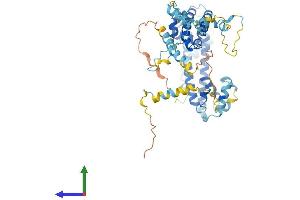 AlphaFold protein structure predicition of Human Recombinant PRPF31 Protein, UniprotID Q8WWY3