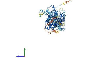 AlphaFold protein structure predicition of Human Recombinant SLC26A5 Protein, UniprotID P58743