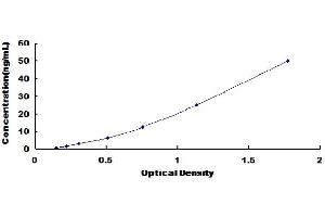 Typical Standard Curve (Intestinal Alkaline Phosphatase Kit ELISA)
