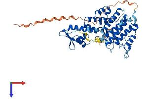 AlphaFold protein structure predicition of Human Recombinant SAC3D1 Protein, UniprotID A6NKF1