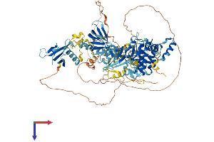 AlphaFold protein structure predicition of Human Recombinant PRKD3 Protein, UniprotID O94806