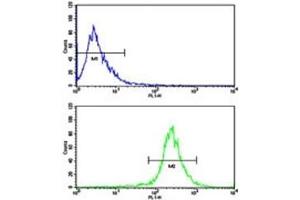 Flow cytometric analysis of WiDr cells using AXL antibody (bottom histogram) compared to a negative control (top histogram).