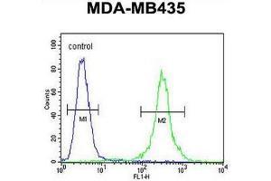 CCR8 Antibody (C-term) flow cytometric analysis of MDA-MB435 cells (right histogram) compared to a negative control cell (left histogram). (CCR8 anticorps  (C-Term))