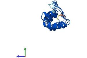 AlphaFold protein structure predicition of Mouse Recombinant Cdkn2c Protein, UniprotID Q60772