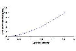 Maternal Embryonic Leucine Zipper Kinase (MELK) ELISA Kit
