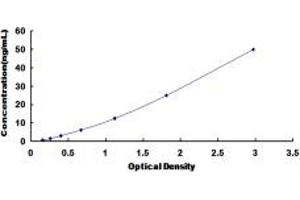 Typical standard curve (ALAS1 Kit ELISA)