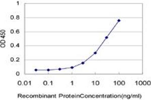 Detection limit for recombinant GST tagged HRSP12 is approximately 3ng/ml as a capture antibody. (HRSP12 anticorps  (AA 1-137))