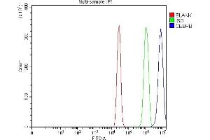 Flow Cytometry analysis of A431 cells using anti-CEBP Beta antibody (ABIN3043809).