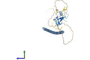 AlphaFold protein structure predicition of Mouse Recombinant Thap7 Protein, UniprotID Q8VCZ3