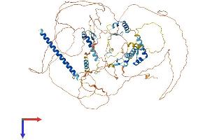 AlphaFold protein structure predicition of Human Recombinant CIZ1 Protein, UniprotID Q9ULV3