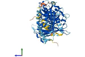 AlphaFold protein structure predicition of Mouse Recombinant Acot12 Protein, UniprotID Q9DBK0