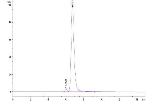 The purity of Human CD3E 1-27 peptide is greater than 95 % as determined by SEC-HPLC.