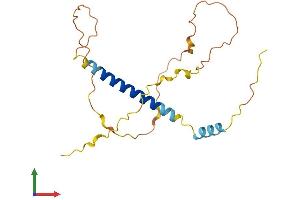 AlphaFold protein structure predicition of Human Recombinant BBC3 Protein, UniprotID Q9BXH1