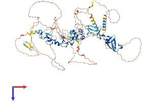 AlphaFold protein structure predicition of Human Recombinant ABLIM1 Protein, UniprotID O14639
