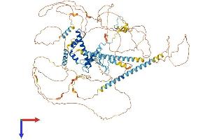 AlphaFold protein structure predicition of Human Recombinant TAF3 Protein, UniprotID Q5VWG9