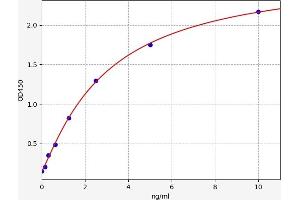 Typical standard curve (FCN1 Kit ELISA)