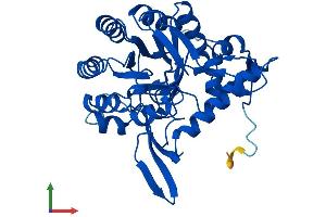 AlphaFold protein structure predicition of Human Recombinant GMPR2 Protein, UniprotID Q9P2T1