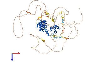 AlphaFold protein structure predicition of Human Recombinant MYBL2 Protein, UniprotID P10244