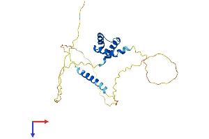AlphaFold protein structure predicition of Human Recombinant TGIF2LX Protein, UniprotID Q8IUE1