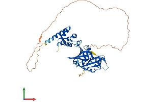AlphaFold protein structure predicition of Human Recombinant MNDA Protein, UniprotID P41218