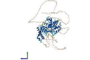 AlphaFold protein structure predicition of Mouse Recombinant Ddx4 Protein, UniprotID Q61496