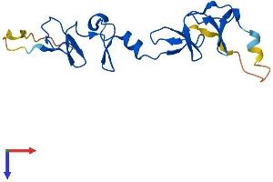 AlphaFold protein structure predicition of Mouse Recombinant Lmo4 Protein, UniprotID P61969