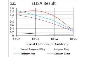 Black line: Control Antigen (100 ng), Purple line: Antigen(10 ng), Blue line: Antigen (50 ng), Red line: Antigen (100 ng),