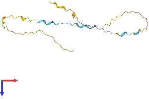 AlphaFold protein structure predicition of Human Recombinant C19orf73 Protein, UniprotID Q9NVV2