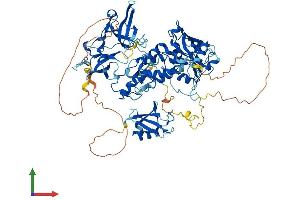 AlphaFold protein structure predicition of Human Recombinant UHRF2 Protein, UniprotID Q96PU4