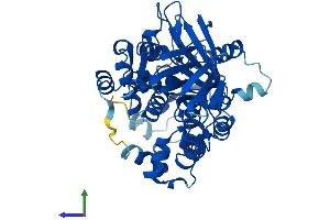 AlphaFold protein structure predicition of Mouse Recombinant Ppox Protein, UniprotID P51175