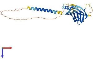 AlphaFold protein structure predicition of Human Recombinant ITM2C Protein, UniprotID Q9NQX7