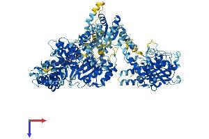 AlphaFold protein structure predicition of Mouse Recombinant Mtr Protein, UniprotID A6H5Y3