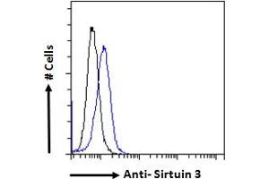 ABIN768568 Flow cytometric analysis of paraformaldehyde fixed NIH3T3 cells (blue line), permeabilized with 0.