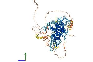 AlphaFold protein structure predicition of Human Recombinant MACC1 Protein, UniprotID Q6ZN28
