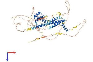 AlphaFold protein structure predicition of Human Recombinant PKNOX2 Protein, UniprotID Q96KN3
