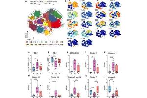 Quantification of CD8 and CD4 T cell clusters by CyTOF analysis in LP of control and CD patients.