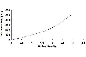 ELISA image for Microtubule-Associated Protein tau (MAPT) ELISA Kit (ABIN1571137)