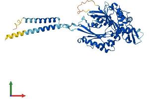 AlphaFold protein structure predicition of Human Recombinant ENTPD1 Protein, UniprotID P49961