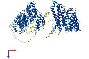AlphaFold protein structure predicition of Mouse Recombinant Acad10 Protein, UniprotID Q8K370