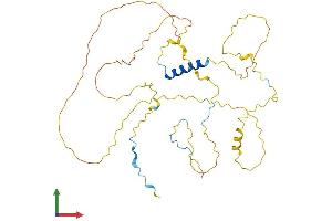 AlphaFold protein structure predicition of Human Recombinant RAD51AP1 Protein, UniprotID Q96B01