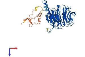 AlphaFold protein structure predicition of Human Recombinant DDB2 Protein, UniprotID Q92466
