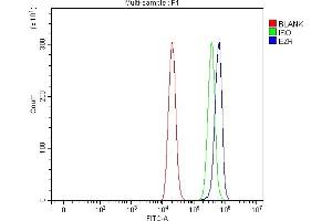 Flow Cytometry analysis of THP-1 cells using anti-Ezrin/EZR antibody (ABIN7603214). (Ezrin anticorps  (N-Term))