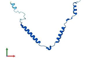 AlphaFold protein structure predicition of Human Recombinant MRPL57 Protein, UniprotID Q9BQC6