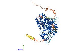 AlphaFold protein structure predicition of Human Recombinant CDKAL1 Protein, UniprotID Q5VV42