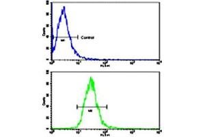 Flow cytometric analysis of NCI-H460 cells using TLR6 polyclonal antibody (bottom histogram) compared to a negative control cell (top histogram). (TLR6 anticorps  (C-Term))