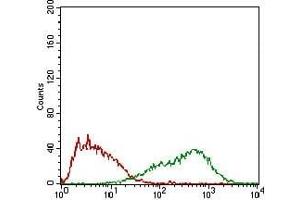 anti-Follicle Stimulating Hormone, beta Polypeptide (FSHB) (AA 19-129) antibody